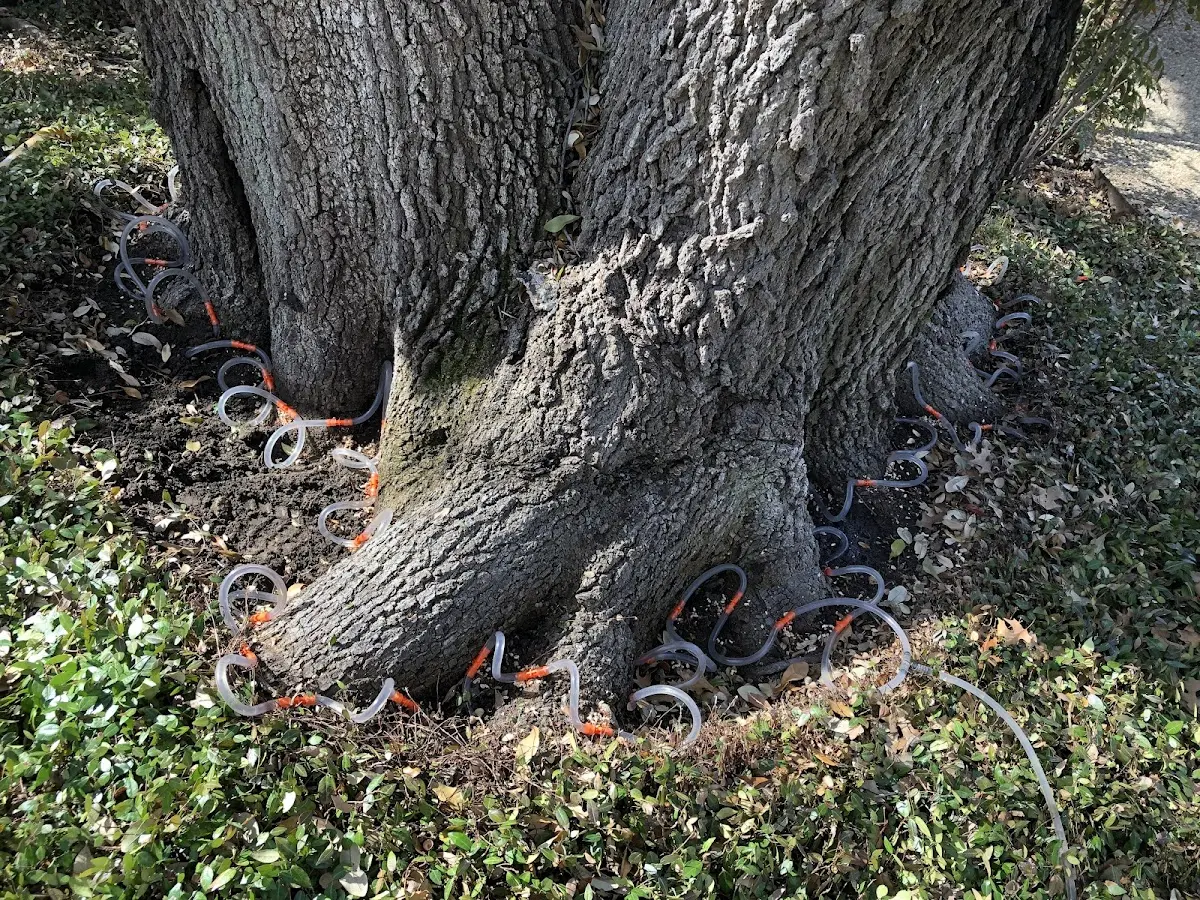 Detailed Shrub and Hedge Trimming job site in Goodrich