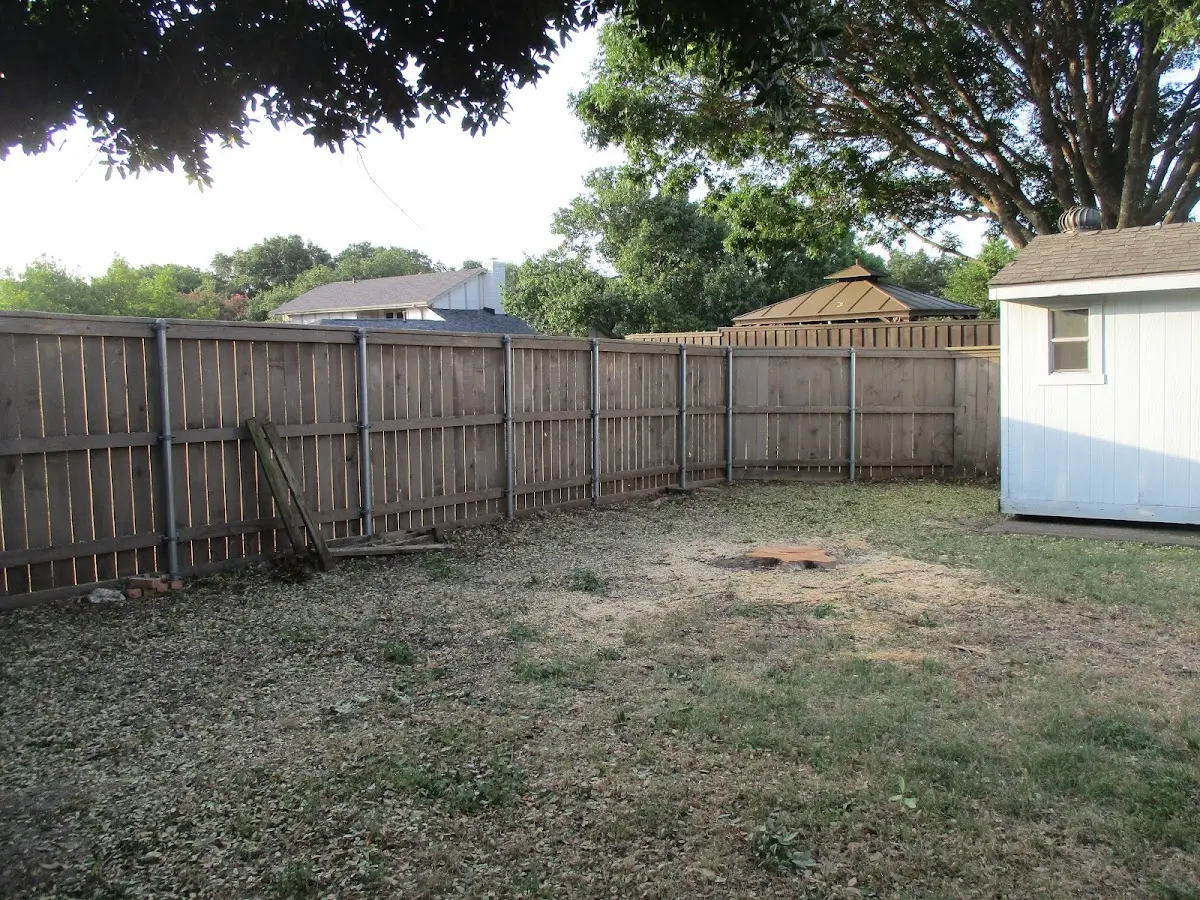 Cleared yard after professional tree removal in Goodrich