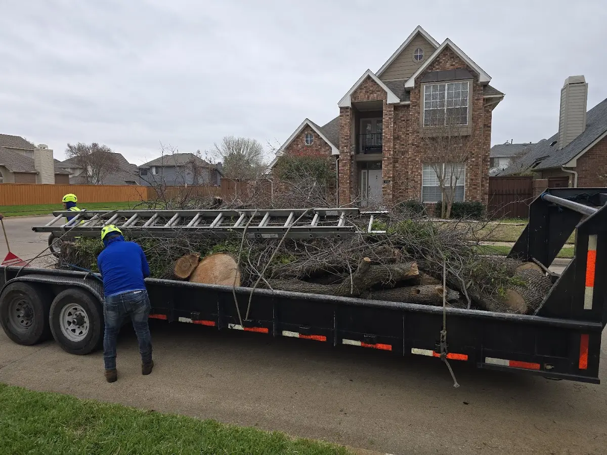 Expert Tree Pest Control with proper safety equipment in Goodrich
